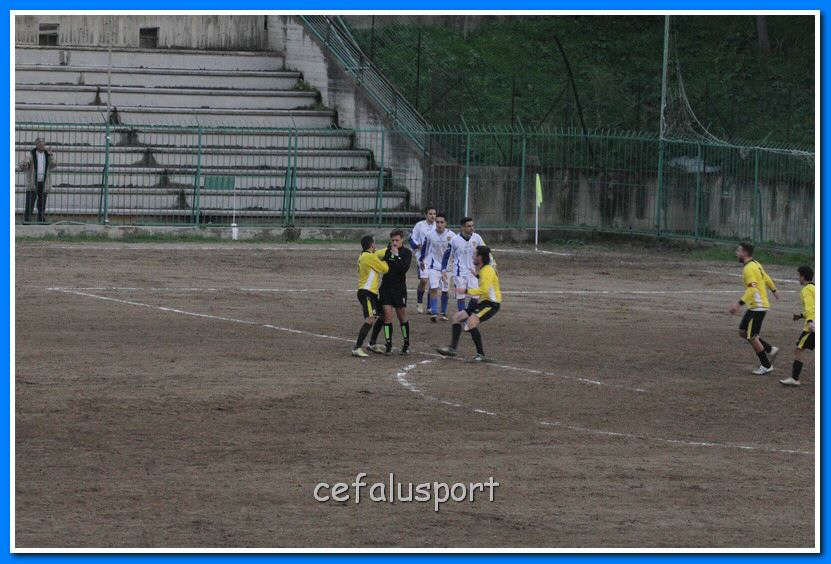 130119 spadaf 300_tn.jpg